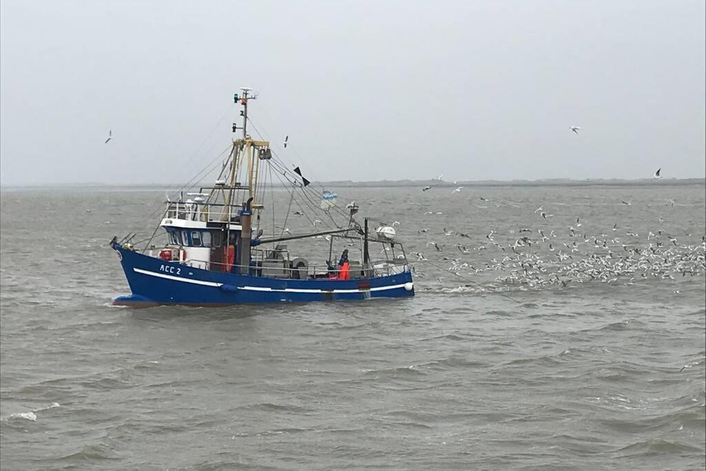 Nordsee Ferienwohnung Fuer 2 Personen 쉴리그 외부 사진